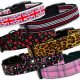 Dog Collars and Leashes