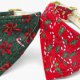 Bandanas Collars