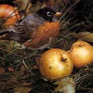 Carl Brenders APPLE LOVER Framed S/N – eBay Low Price = $495