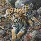 Carl Brenders ENDANGERED AMBASSADORS Framed S/N 774/950 – eBay Low Price = $700