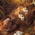 Carl Brenders SHADOWS IN THE GRASS Lions L/E S/N w/COA eBay Low Price=$95