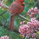 Carl Brenders SPARK OF RUBY Cardinal L/E S/N w/COA - eBay Low Price = $79