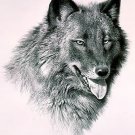 Carl Brenders BLACK WOLF L/E S/N w/COA – eBay Low Price =$125