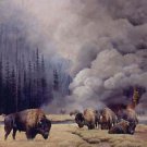 Bonnie Marris NEW BEGINNINGS L/E S/N w/COA  – eBay Low Price = $290