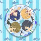Iwatobi_fanart pinback button