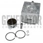 Leaf Blower STIHL SR420 BR420 Engine Motor Cylinder Kit Piston Rings Parts 46mm