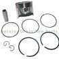Honda EM3500SX EM3500x EB3000X EG4000 EG4000CLAT Generator Piston Kit w Rings