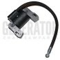 Gas Briggs & Stratton 843931 Engine Motor Ignition Coil Magneto Parts