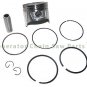 Wacker Neuson GP 3800A CAN Generator PT 3A Trash Pump Piston Kit w Rings Pars