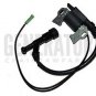 SDMO TECHNIC 6500 E AVR UK PHOENIX 6300 7300 T Generator Ignition Coil Magneto