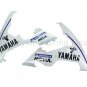 ABS Kawasaki ZX-12R 2000 2001 2002 Windshield Screen