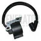 Gas Poulan Partner Motor Engine Chainsaw 420 440 moduel Ignition Coil Parts