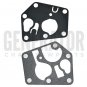Briggs & Stratton 795083 495770 5083H Generator Carburetor Rebuild Repair Parts