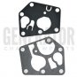 Briggs & Stratton 795083 495770 5083H Generator Carburetor Rebuild Repair Parts