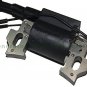 Baja Motorsports BLITZ RACER DIRT BUG Mini Bike Ignition Coil Magneto 97cc Parts