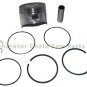 Honda HS928 Blower EB4000X EG4000CL EM4000SX Generator Piston Kit Rings Parts