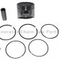 Piston Kit w Rings & Bearing For Honda HRU196M1 HRU196K1 Lawn Mowers Motor