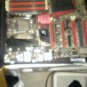 Asus boards intel cpus