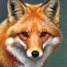 Red Fox  Queen Size Blanket 79"x95"