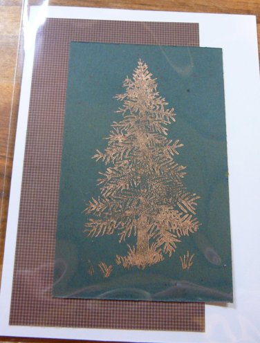 Cooper Christmas Tree Card