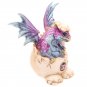 Cute Hatching Baby Dragon Figurine