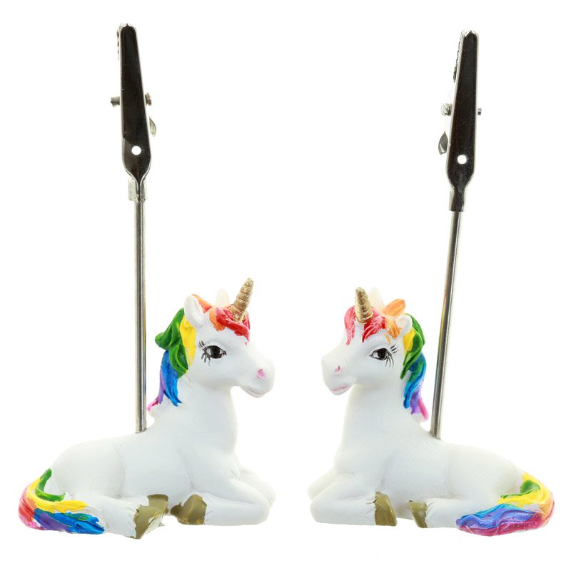 Cute Collectable Rainbow Unicorn Postcard and Memo Clip