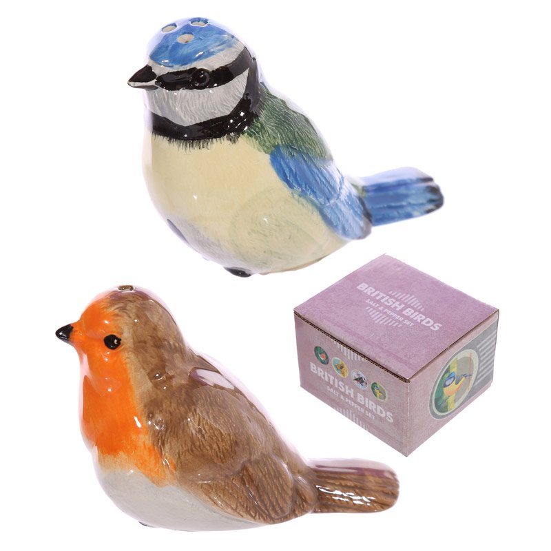 Novelty British Birds Blue Tit and Robin Salt and Pepper Set