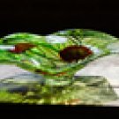 Fairy Grass Art Glass Platter P08