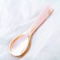 1 X 3.5" Inch Mother of Pearl Sea Shell Cavivar Serving  Spoon Oriental Brown...