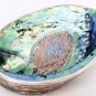 Vai Kiet Abalone tray