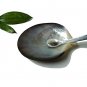 Vai Kiet Seashell Tray 12cm long