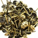 C.S. Osborne Oxford Hammered Nail Tacks Antique Brass 100pk [Office Product]