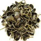 C.S. Osborne Daisy Nail Tacks Antique Brass 100pk [Office Product]