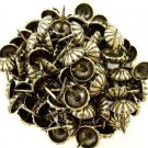 C.S. Osborne Daisy Nail Tacks Antique Brass 1/2" 100pk [Office Product]