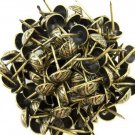 C.S. Osborne Overlap Nail Tacks Antique Brass 3/4" 100pk