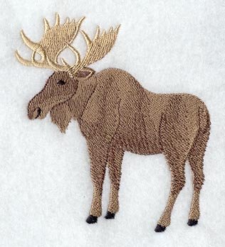 moose set of 2