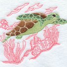 sea turtle set of 2