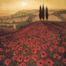 Poppy Field by Steve Thoms 24x24 Art Print Poster 776126