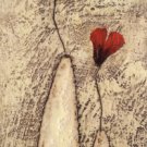 Fleur II by Sara Rosen 8x20 Art Print Poster 748363
