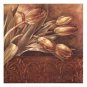 Copper Tulips II by Linda Thompson 19.750x19.750 Art Print Poster 229650