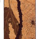 Spider and Fig Tree by Anita Munman 7x19 Art Print Poster 13404