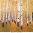 A Portrait Of Aspens by Gary Max Collins 36x27 Art Print Poster 911959
