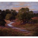 Afternoon Light by Lanell Arndt 26x20 Art Print Poster 160575
