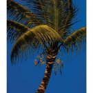 Erin by Robert Dunahay 14x20 Art Print Poster 459400