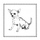 Best in Show II by Megan Meagher 9.5x13 Art Print Poster 861399