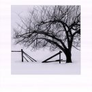 Snow Bound by Harold Silverman 16x20 Art Print Poster 160429