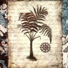 Secret Fern III by Michael Marcon 16x20 Art Print Poster 900081