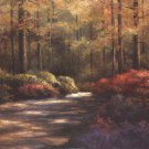 Autumn Trail by T.C. Chiu 36x24 Art Print Poster 755702