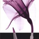 Stem IV by Steven N. Meyers 12x24 Art Print Poster 653012