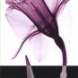 Stem IV by Steven N. Meyers 12x24 Art Print Poster 653012